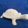 Garden or Plant Turtle