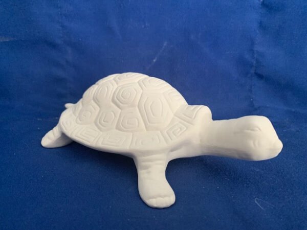 Garden or Plant Turtle