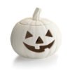 LargeJack-O-LanternLight-up.jpg Large Jack-O-Lantern Pumpkin Light-up