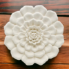 Medium Succulent Wall Plaque