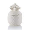 PineappleCannister.jpg Pineapple Canister