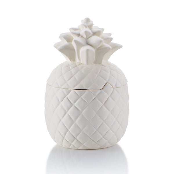 PineappleCannister.jpg Pineapple Canister