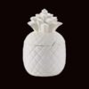 PineappleCannister_1_1.jpg Pineapple Canister