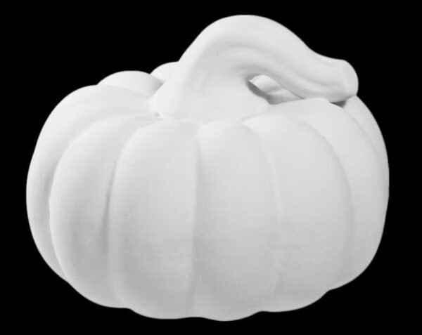 Screenshot2025-06-13024406-Photoroom.jpg Squatty Gourd Mighty Tot