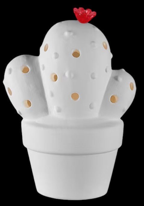 Garambullo Cactus Night Light