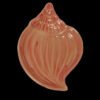 Little Shell Dish