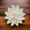 Small Succulent Wall Plaque