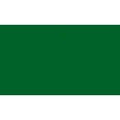 dona_c0142-175x175-1.jpg Dona's Hues H-142 Evergreen Acrylic Stain (1 oz.)