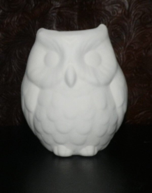 Owl Pencil Holder or Planter