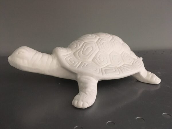Garden or Plant Turtle