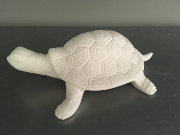 Garden or Plant Turtle