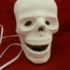 Life Size Halloween Skull Light Up