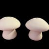 Mushroom Salt & Pepper Set