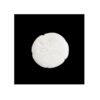 transparent-Photoroom_-_2026-01-10T235803.306.jpg Sand Dollar Bisquies