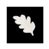 transparent-Photoroom_-_2026-01-14T062328.609.jpg Oak Leaf Bisquies