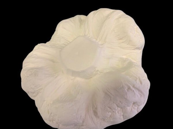 transparent-Photoroom_91.jpg Cauilfower or Broccoli Head